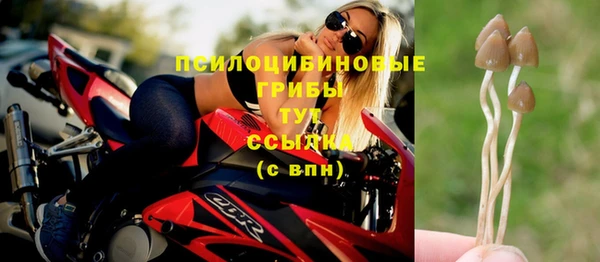 герыч Алексин